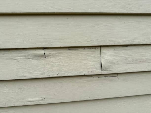 Best Stucco Siding  in Cridersville, OH